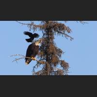 0330_Papa hat Aerger_CH2Z3758.JPG